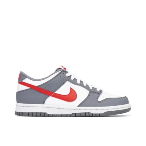 Nike Dunk Smoke Grey GS